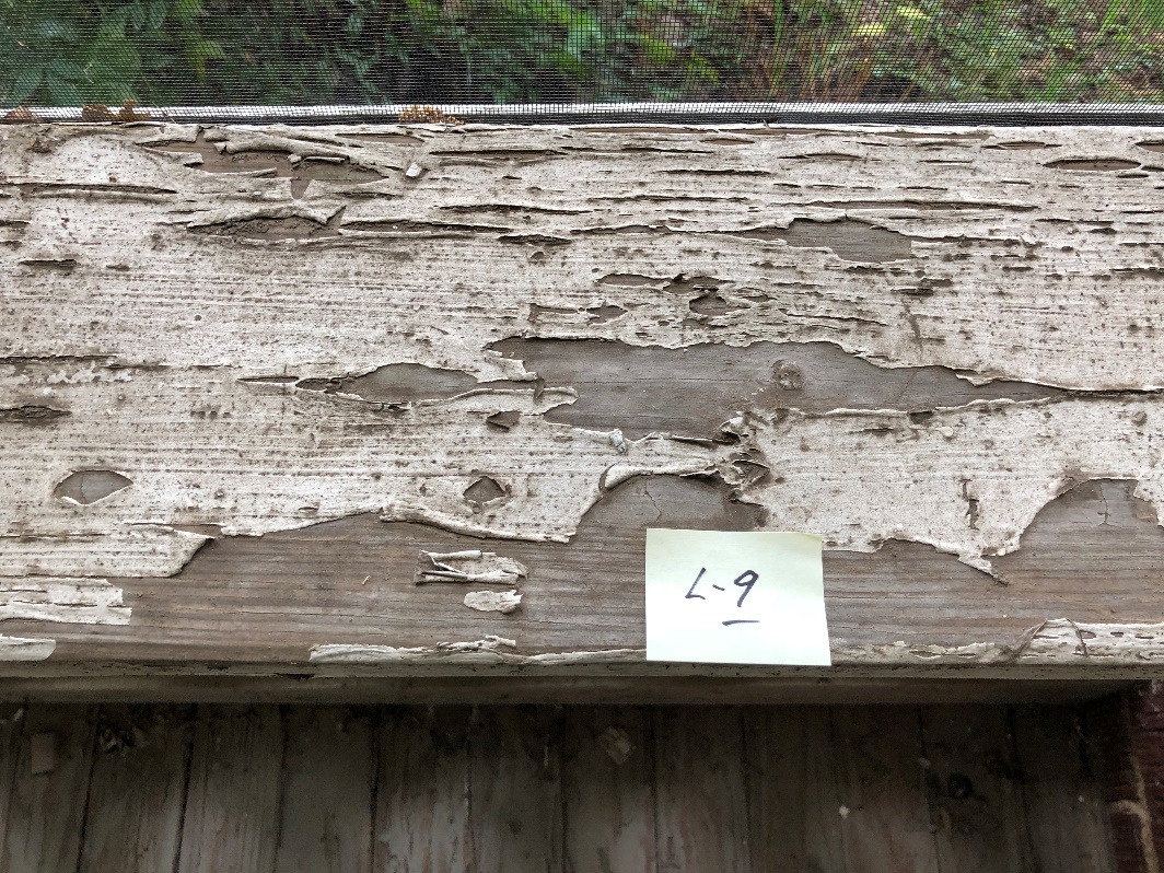 Lead paint sample collection